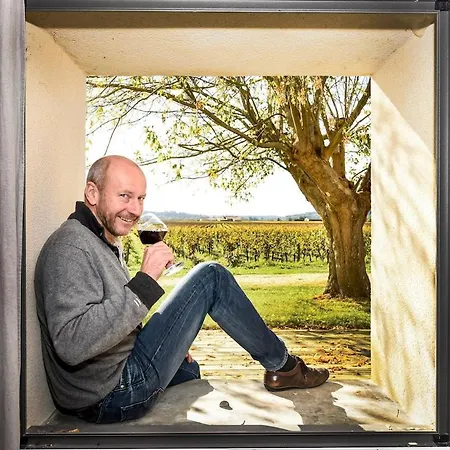 Emilion, Au Milieu Des Vignes * Saint-Sulpice-de-Faleyrens